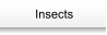 Contacts